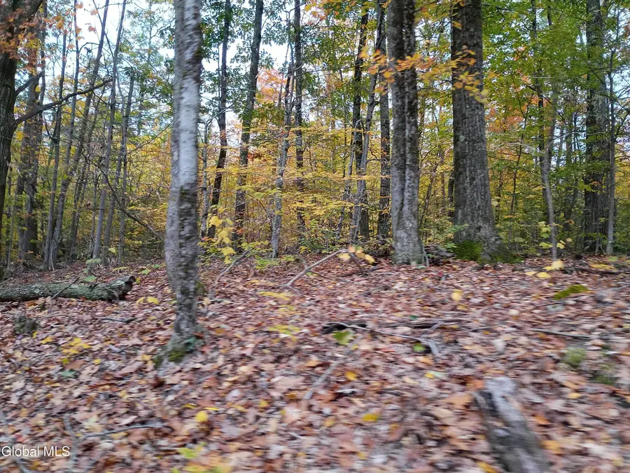 L29.13 Fire Tower Road, Grafton, NY 12138 - #3