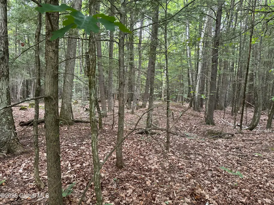 2 Diamond Ridge Road, Diamond Point, NY 12824 - #3