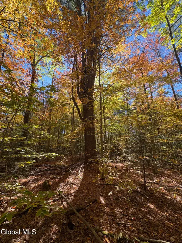 L4 Beartown, Lake Luzerne, NY 12846