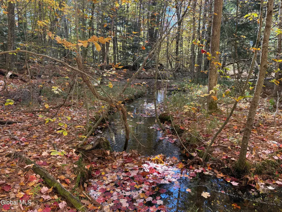 L4 Beartown, Lake Luzerne, NY 12846 - #3