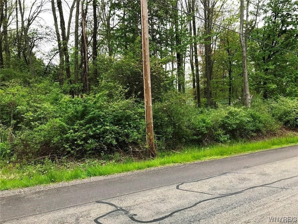 V/L Kennedy Street, Angola, NY 14006 ERA