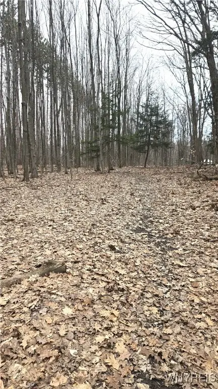 #3