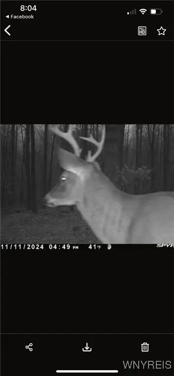 #3