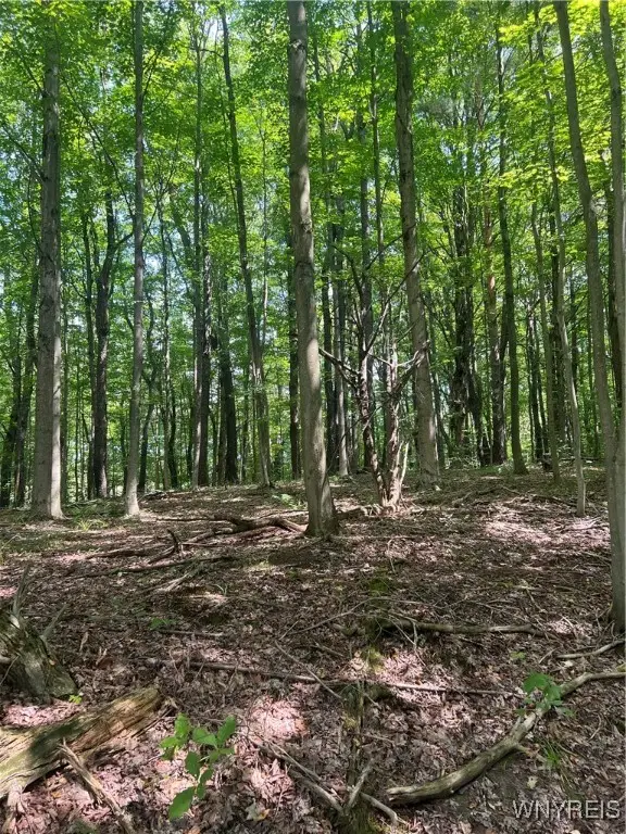 #3