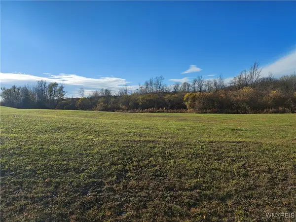 0 Donahue Road, Batavia, NY 14020