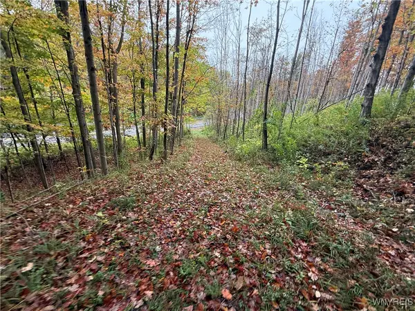 10987 Snyder Road, Springville, NY 14141