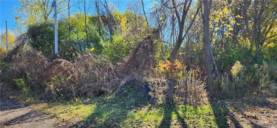 5613 Baker Avenue, Niagara Falls, NY 14304 - Image #2