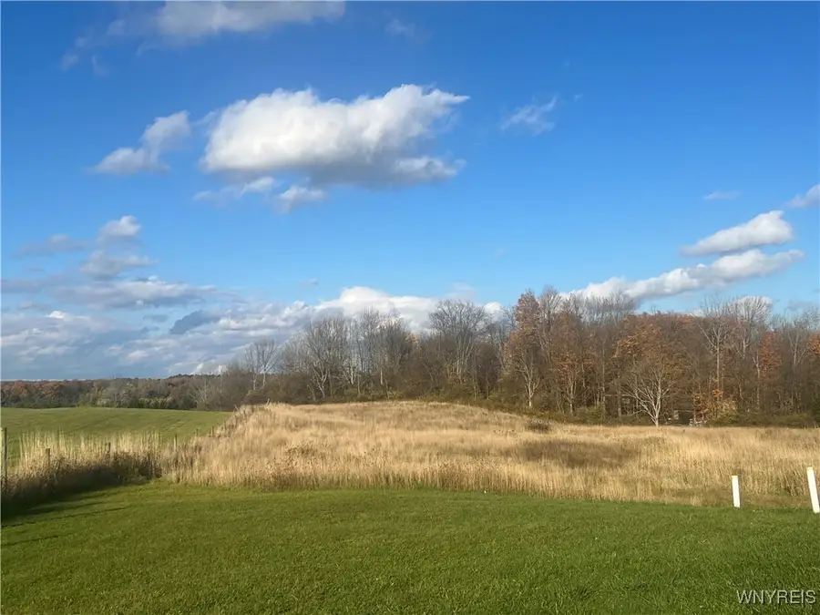 4560 Scrabble Hill Road, Collins, NY 14034 - Image #2