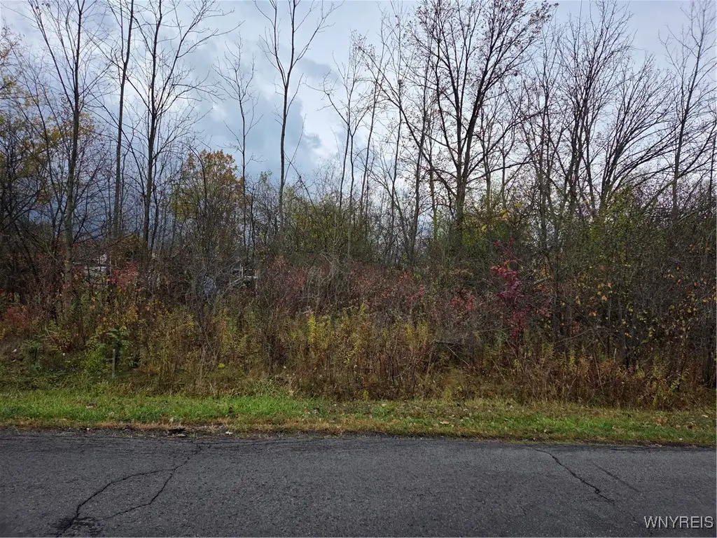 VL Fourth, Niagara Falls, NY 14305 - Image #1