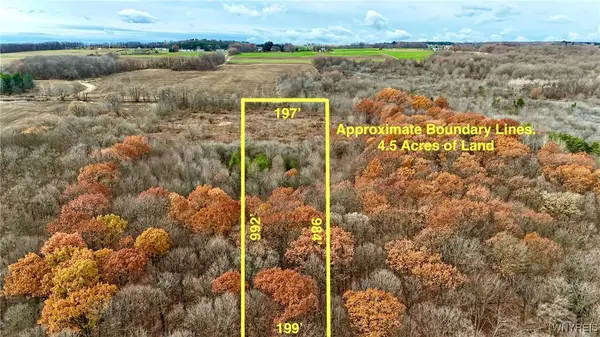 Wyoming Street, Warsaw, NY 14569