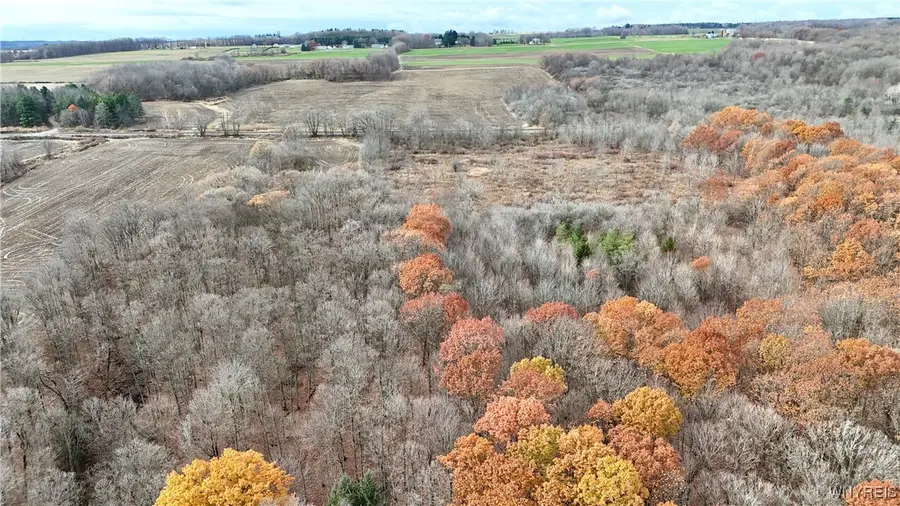 Wyoming Street, Warsaw, NY 14569 - Image #3