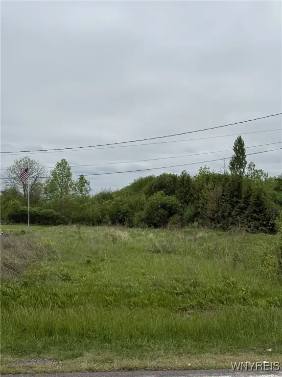 VL Hermitage Road, Niagara Falls, NY 14305 - Image #2