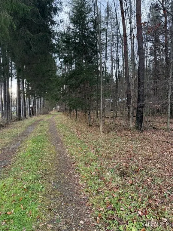 2815 Stuck Road, Scio, NY 14880 - Image #2