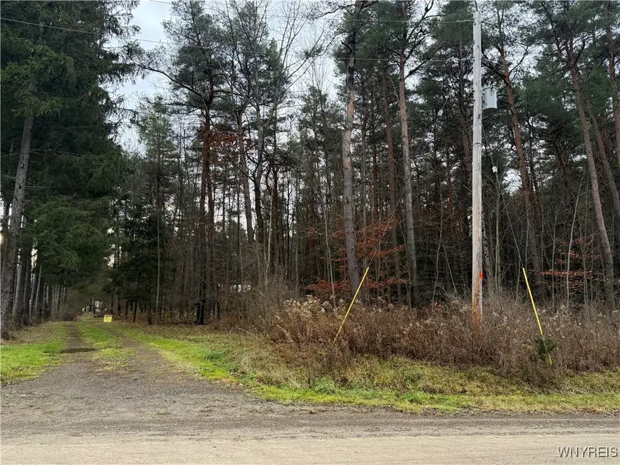 2815 Stuck Road, Scio, NY 14880 - Image #3