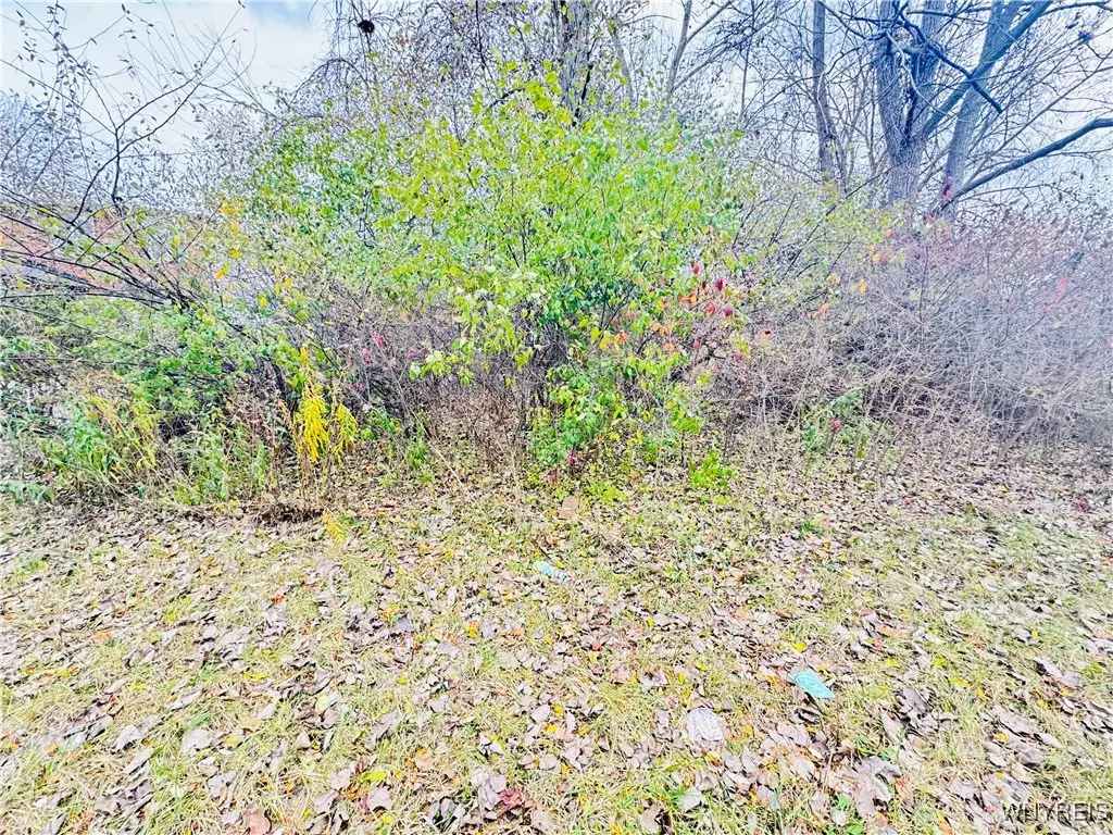 64 Fairgreen Drive, Buffalo, NY 14228 - Image #1