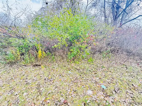 64 Fairgreen Drive, Buffalo, NY 14228