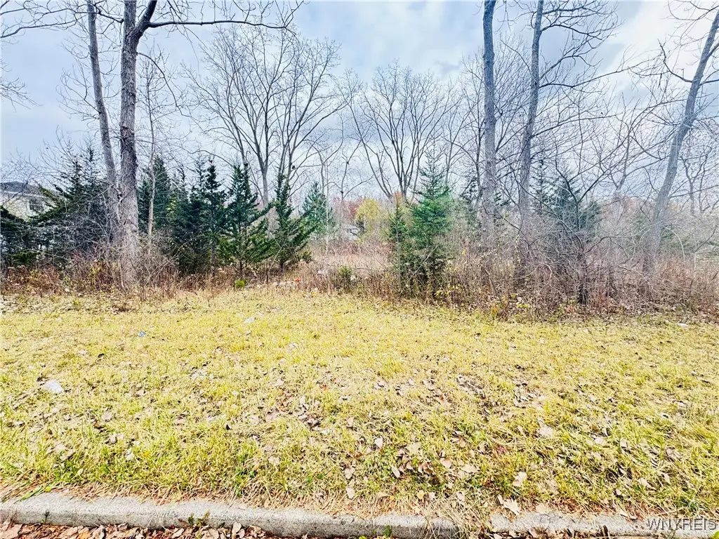 46 Fairgreen Drive, Buffalo, NY 14228 - Image #1