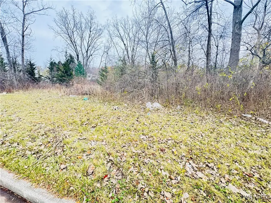 46 Fairgreen Drive, Buffalo, NY 14228 - Image #3