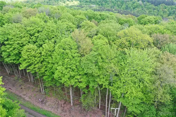 0 Dublin Terrace, Salamanca, NY 14779