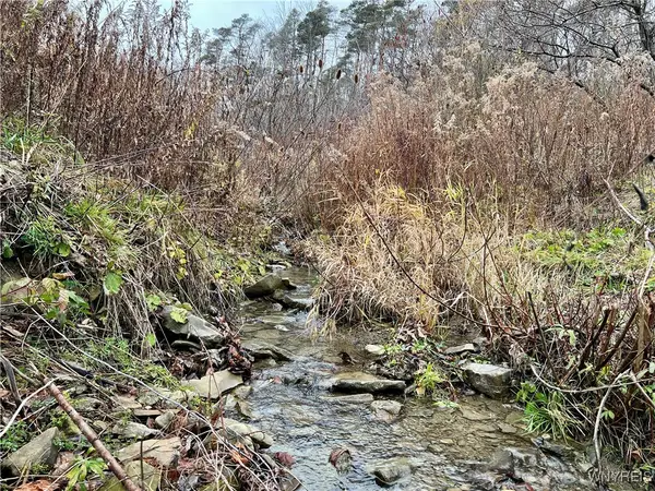 Feathers Creek Road, Belmont, NY 14813