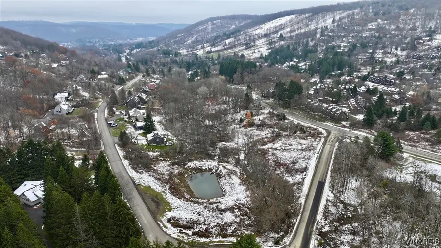 Hencoop Hollow Road, Ellicottville, NY 14731 - Image #2