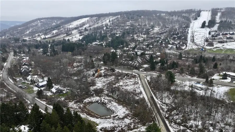 Hencoop Hollow Road, Ellicottville, NY 14731 - Image #3