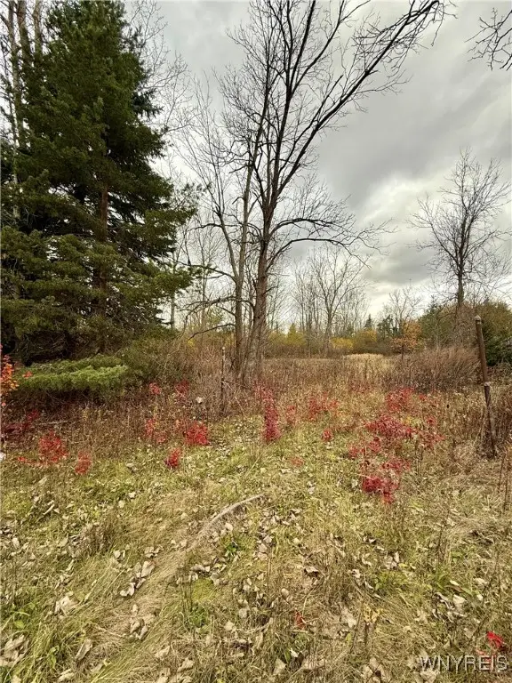 4300 N French Road, Amherst, NY 14051