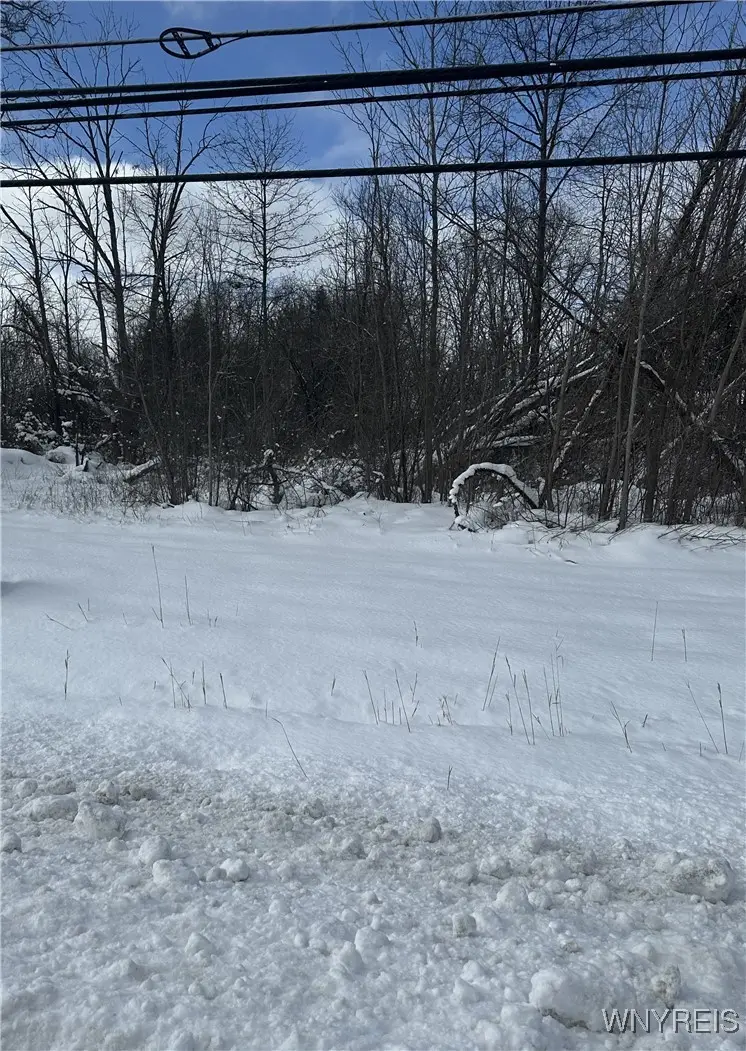 Creek Road, Lewiston, NY 14092 - #2