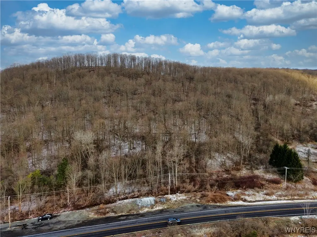 6010 Nys Rte 242 Lot #6, Ellicottville, NY 14731 - Image #1