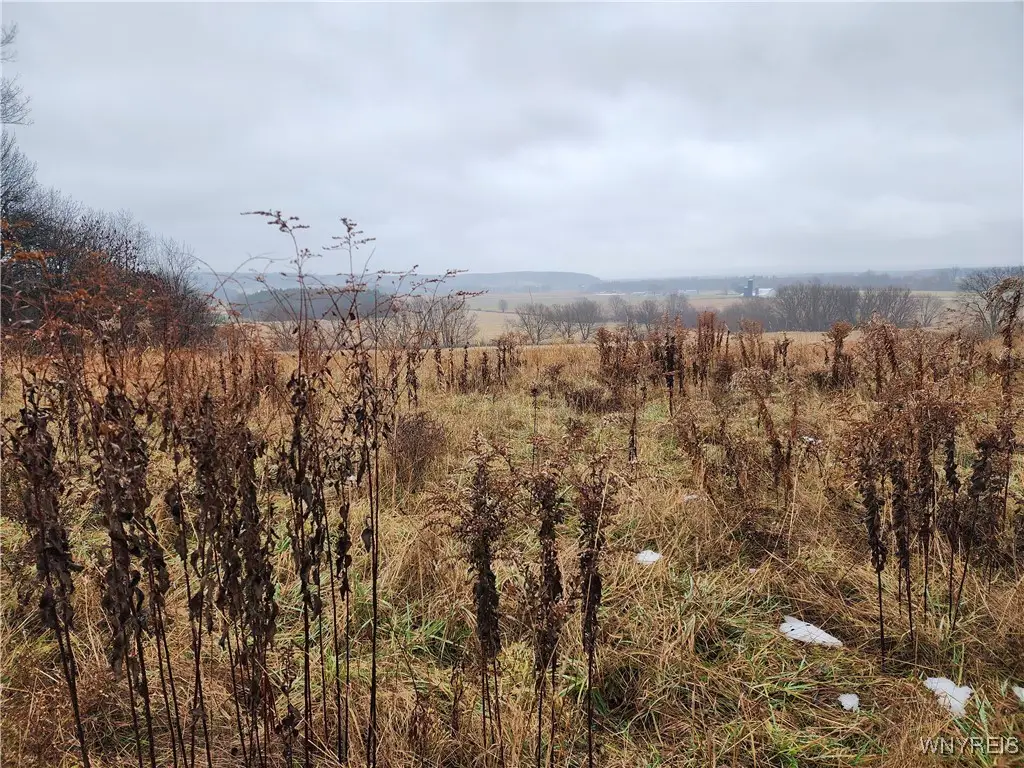 Ball Hill Road, Forestville, NY 14062 - Image #1