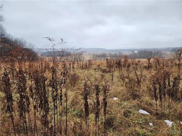 Ball Hill Road, Forestville, NY 14062