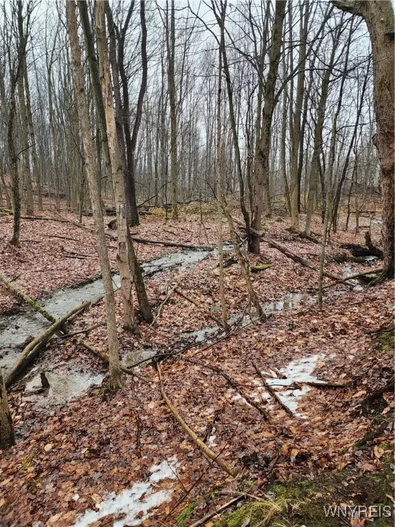 Ball Hill Road, Forestville, NY 14062 - Image #2