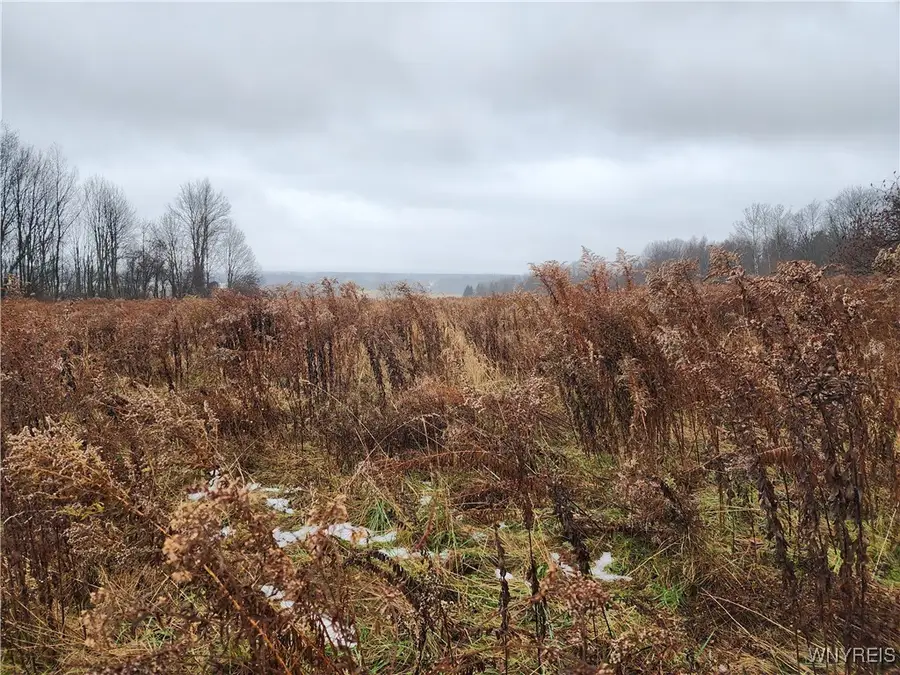 Ball Hill Road, Forestville, NY 14062 - Image #3