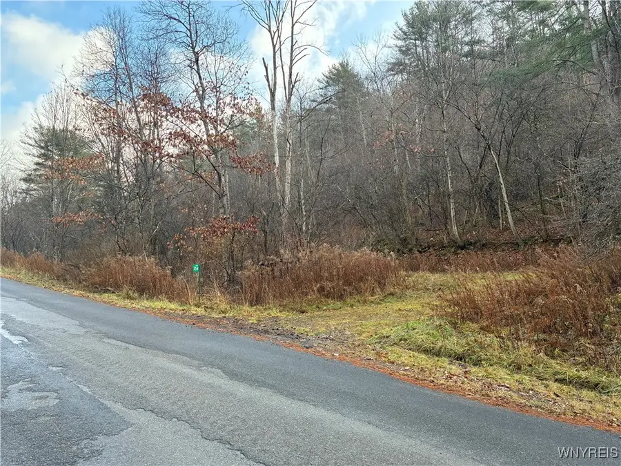 0 Alma Hill Road, Wellsville, NY 14895 - Image #2