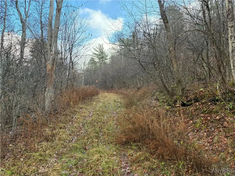 0 Alma Hill Road, Wellsville, NY 14895 - Image #3