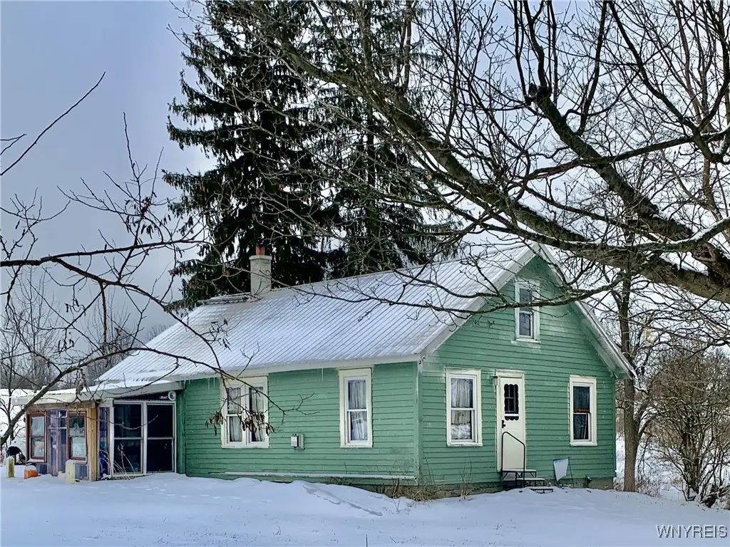 9703 Findley Road, Farmersville Station, NY 14060 - Image #1