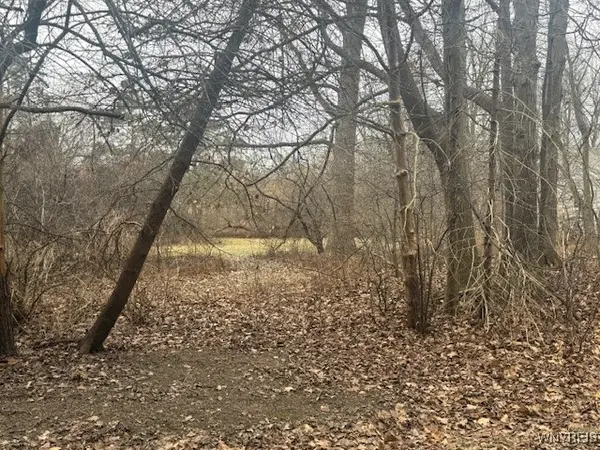 VL James Place, Orchard Park, NY 14127