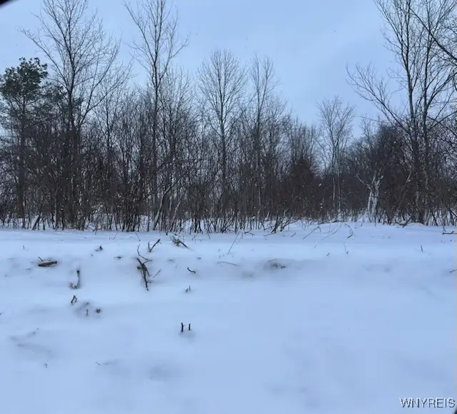 0 North Street, Arcade, NY 14009 - Image #2