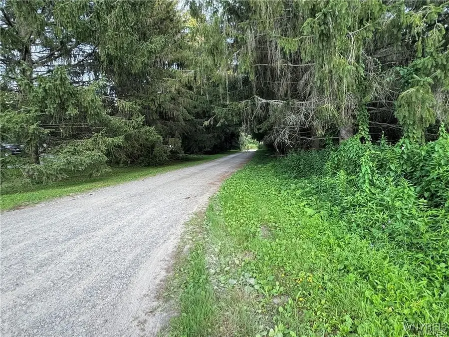 9 Creek Ridge Road, Ellicottville, NY 14731 - #3