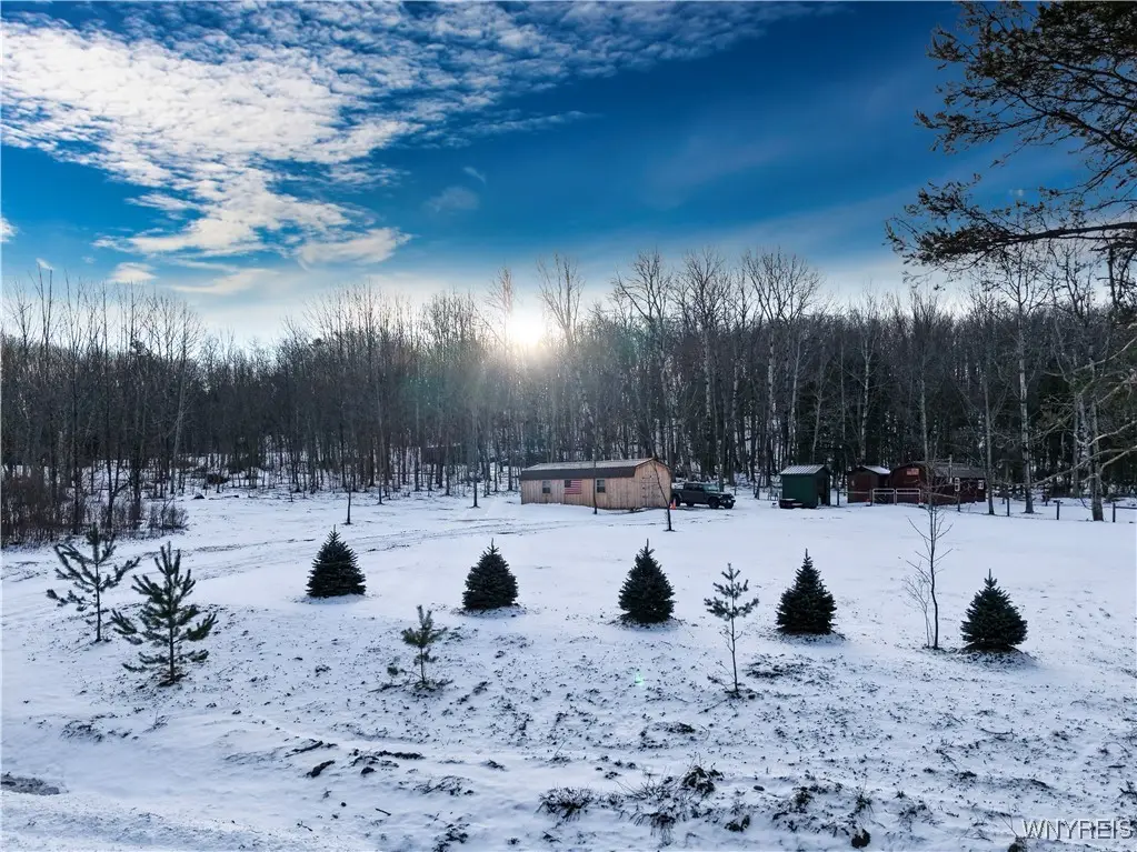 9306 Snake Run Road, East Otto, NY 14729 - Image #1