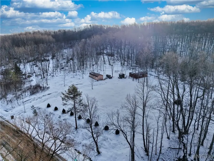 9306 Snake Run Road, East Otto, NY 14729 - Image #2