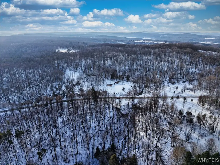 9306 Snake Run Road, East Otto, NY 14729 - Image #3