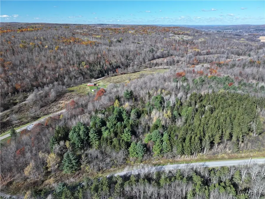 6653 Brainard Hill Road, Belfast, NY 14711 - Image #3