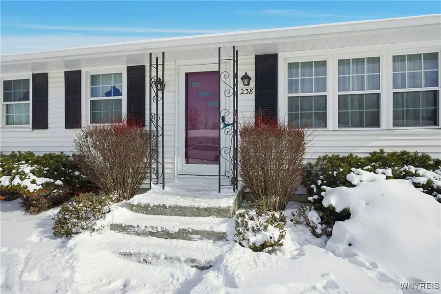 238 Orchard Place, Lackawanna, NY 14218 - #3