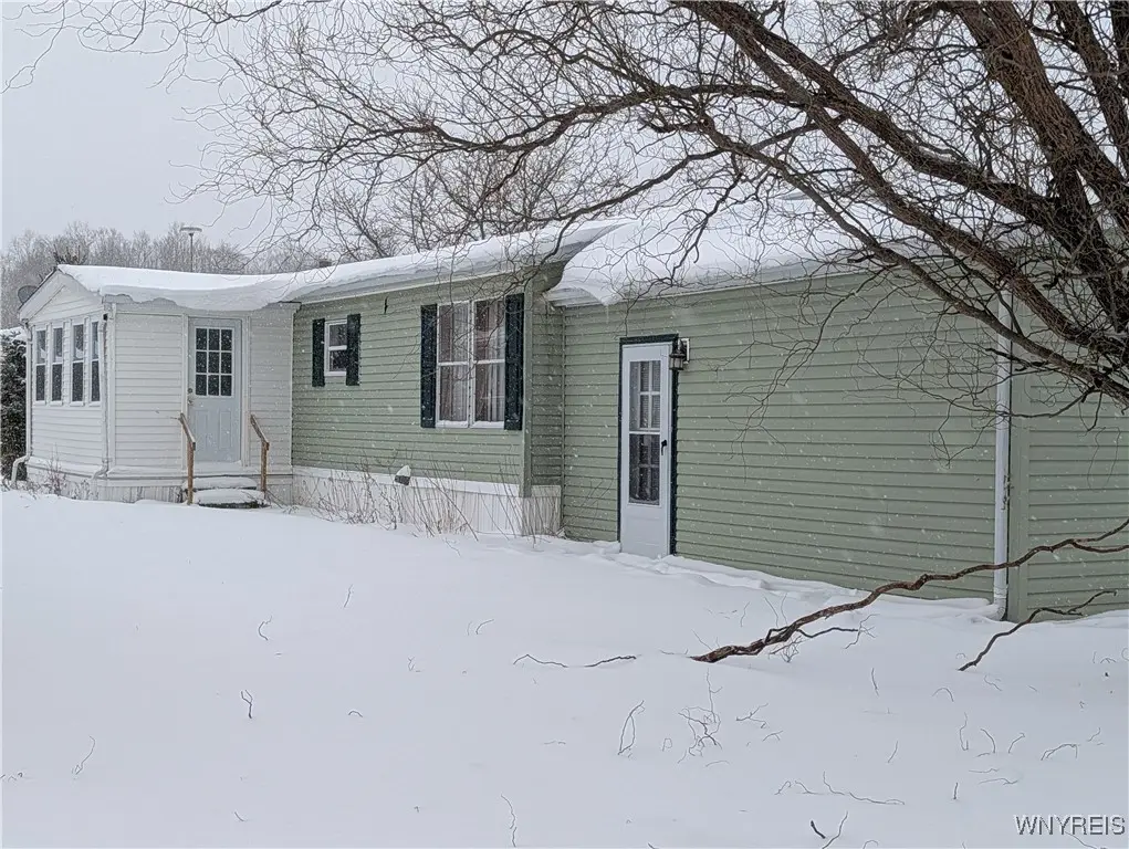 84 Pocono Park, Akron, NY 14001 - #1