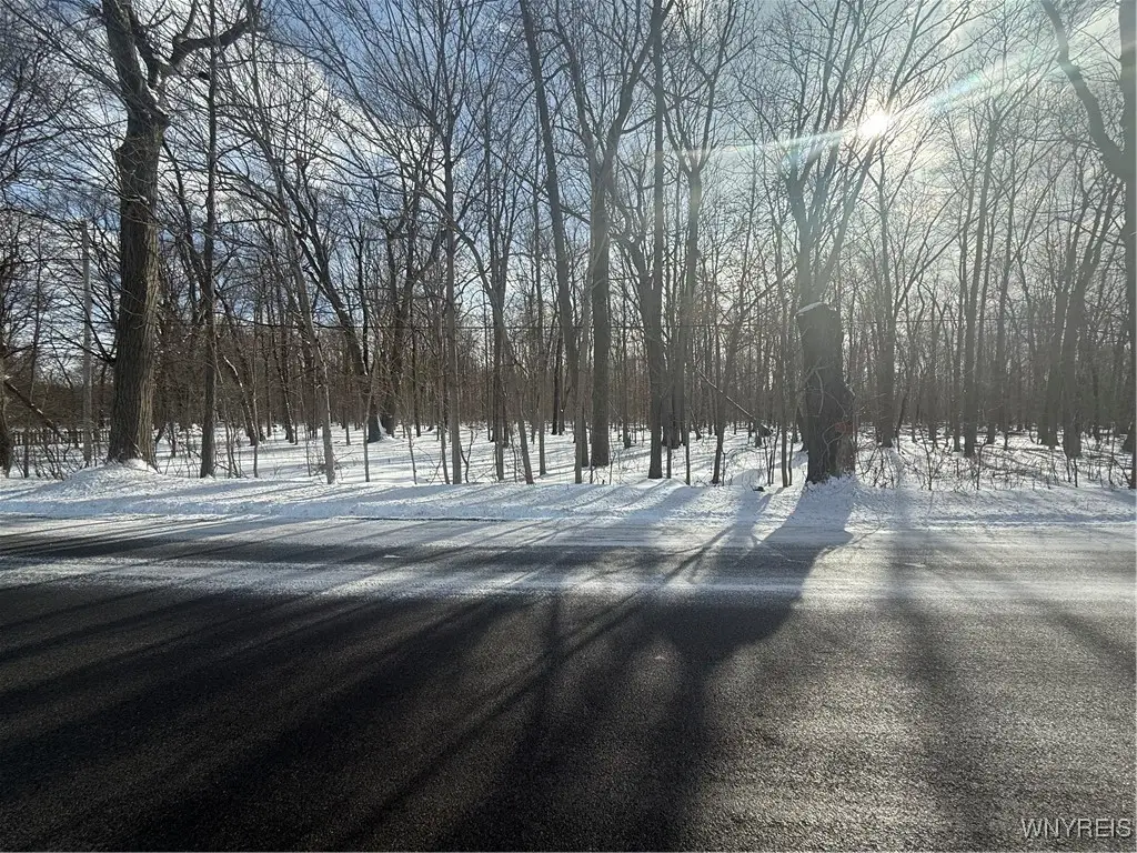 V/L Stage Road, Akron, NY 14001 - #1