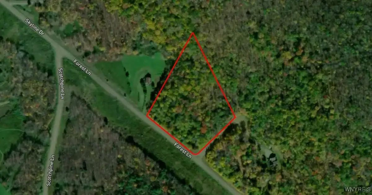 Lot 20 Forest Lane, Andes, NY 13731 - Image #1
