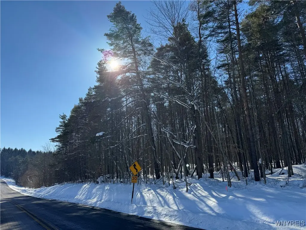 10934 Harlow Rd Road, Darien Center, NY 14040 - #1