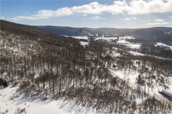 V/L Kent Road, Little Valley, NY 14755