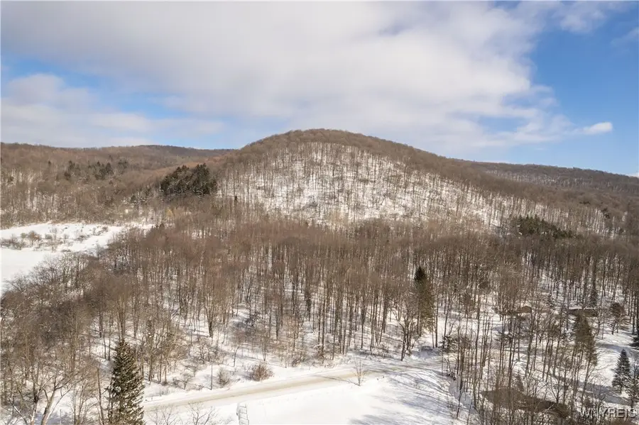 V/L Kent Road, Little Valley, NY 14755 - #2